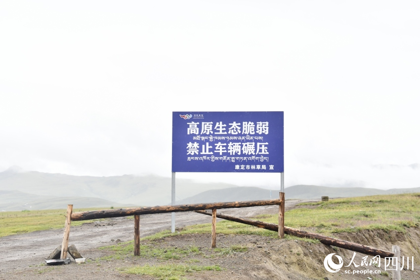禁止車輛碾壓草原的提示牌。人民網(wǎng)記者 王洪江攝