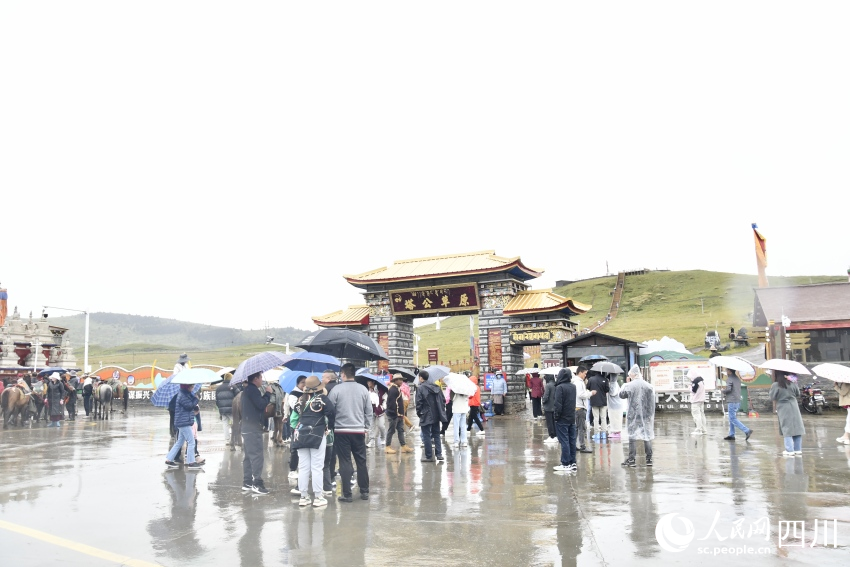 甘孜州塔公草原。人民網(wǎng)記者 王洪江攝