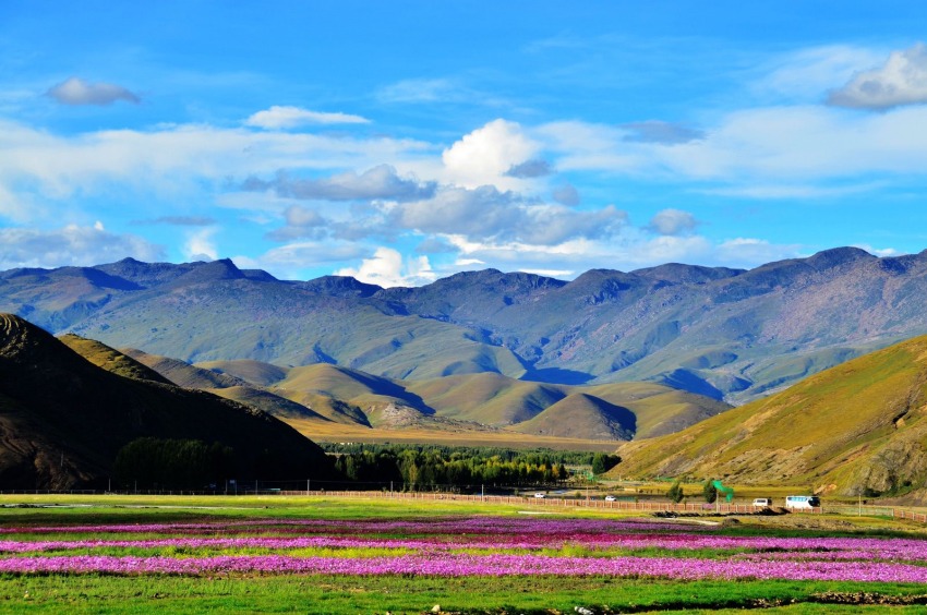 稻城風光。稻城縣委宣傳部供圖
