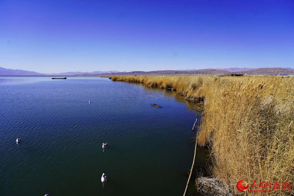 可魯克湖秋色如畫(huà)。人民網(wǎng) 陳明菊攝