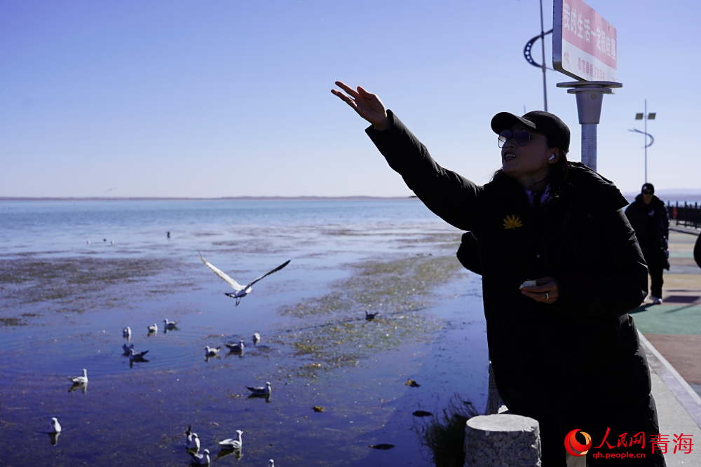 游客投喂水鳥(niǎo)。人民網(wǎng) 陳明菊攝