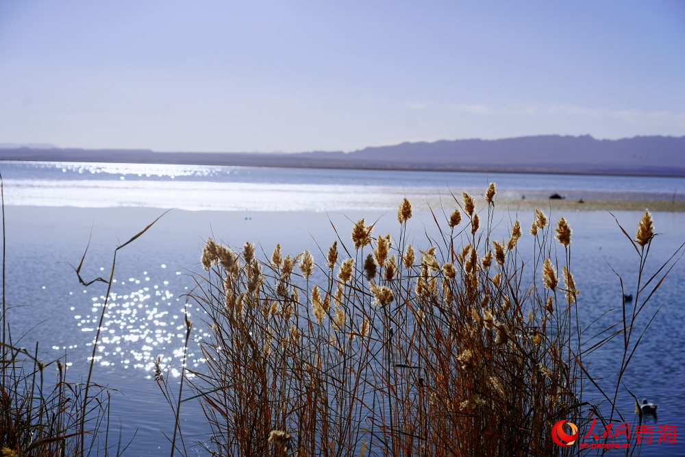 可魯克湖秋色如畫(huà)。人民網(wǎng) 陳明菊攝
