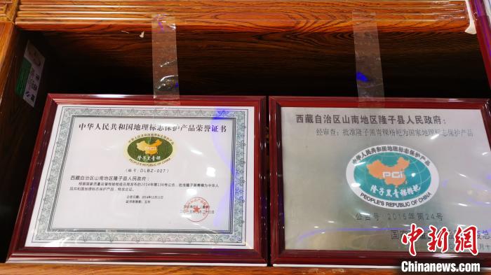 圖為2015年，隆子黑青稞成為中國國家地理標(biāo)志保護(hù)產(chǎn)品?！垈?攝