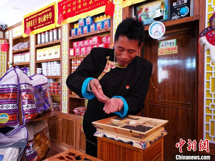 圖為洛桑旦增介紹青稞的功效?！垈?攝