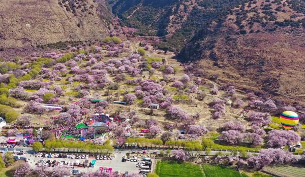 世外桃源！一組圖告訴你，西藏林芝桃花能有多美