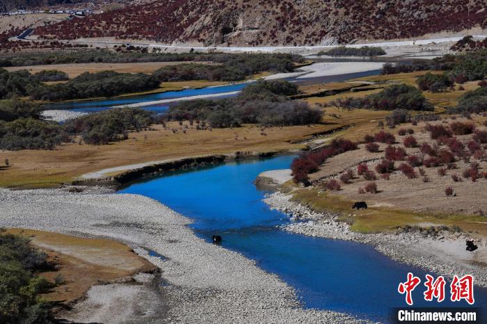 資料圖為拉薩市墨竹工卡縣境內(nèi)的美景。　貢嘎來(lái)松 攝