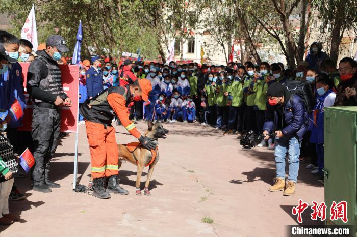 圖為搜救犬服從和箱體搜救演練?！≮w琳 攝