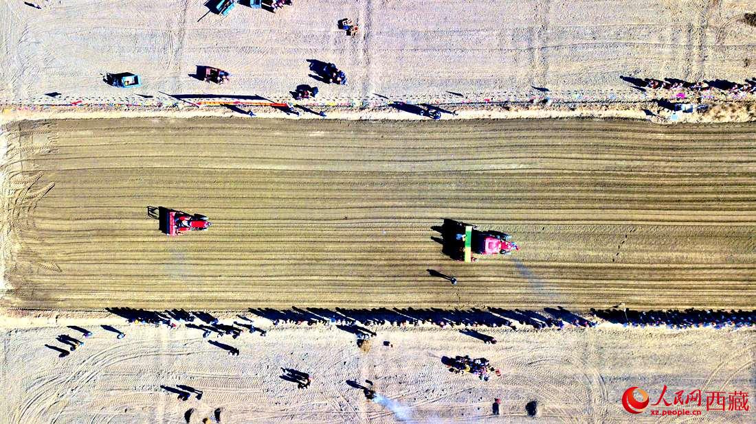 山南市扎囊縣扎其鄉(xiāng)孟卡榮村迎來春耕第一犁。人民網(wǎng) 次仁羅布攝