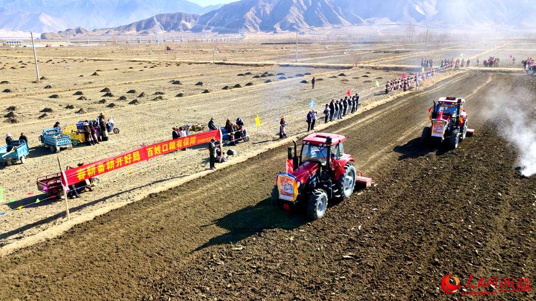 山南市扎囊縣扎其鄉(xiāng)孟卡榮村迎來(lái)春耕第一犁。人民網(wǎng) 次仁羅布攝