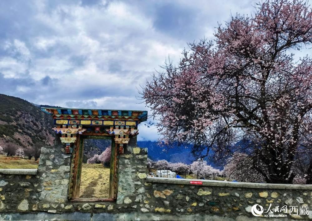 桃花下的藏式民居。人民網(wǎng) 李海霞攝