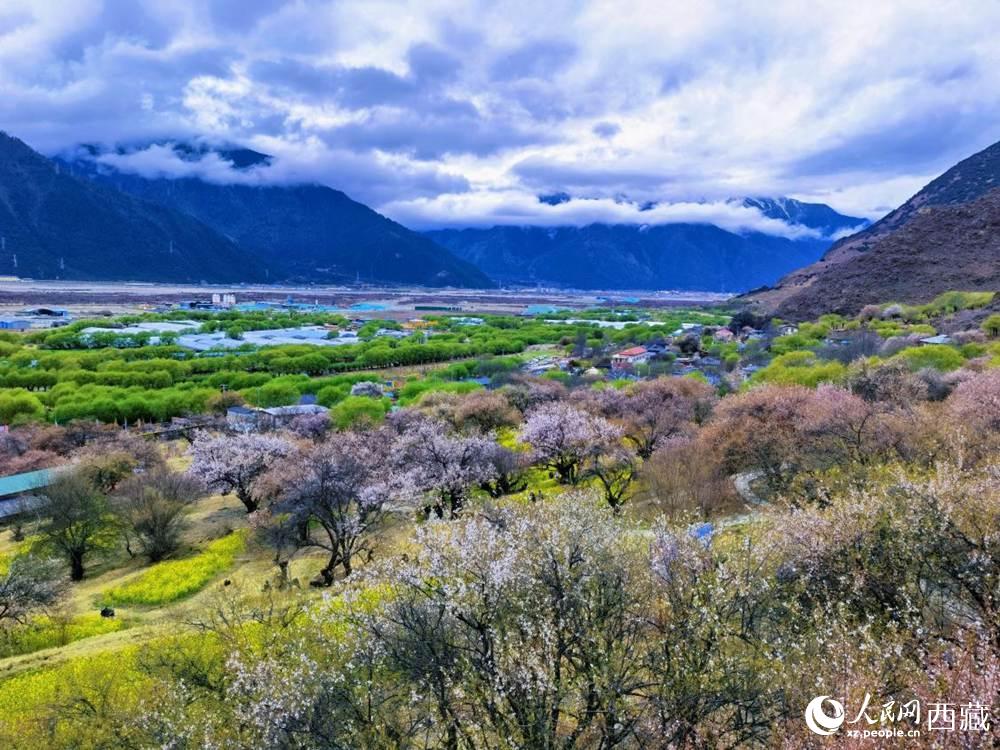 桃花從中的“童話小鎮(zhèn)”。人民網(wǎng) 李海霞攝