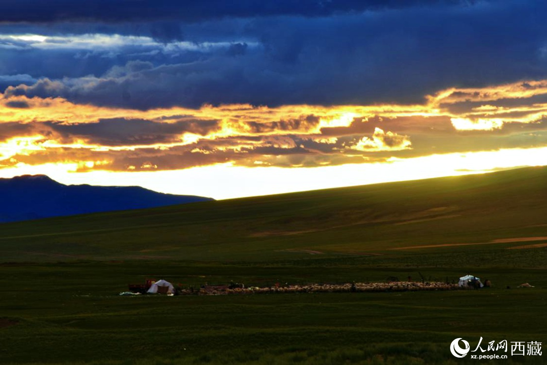 黃昏下的帳篷，牧民過(guò)著幸福生活。 人民網(wǎng) 李海霞攝