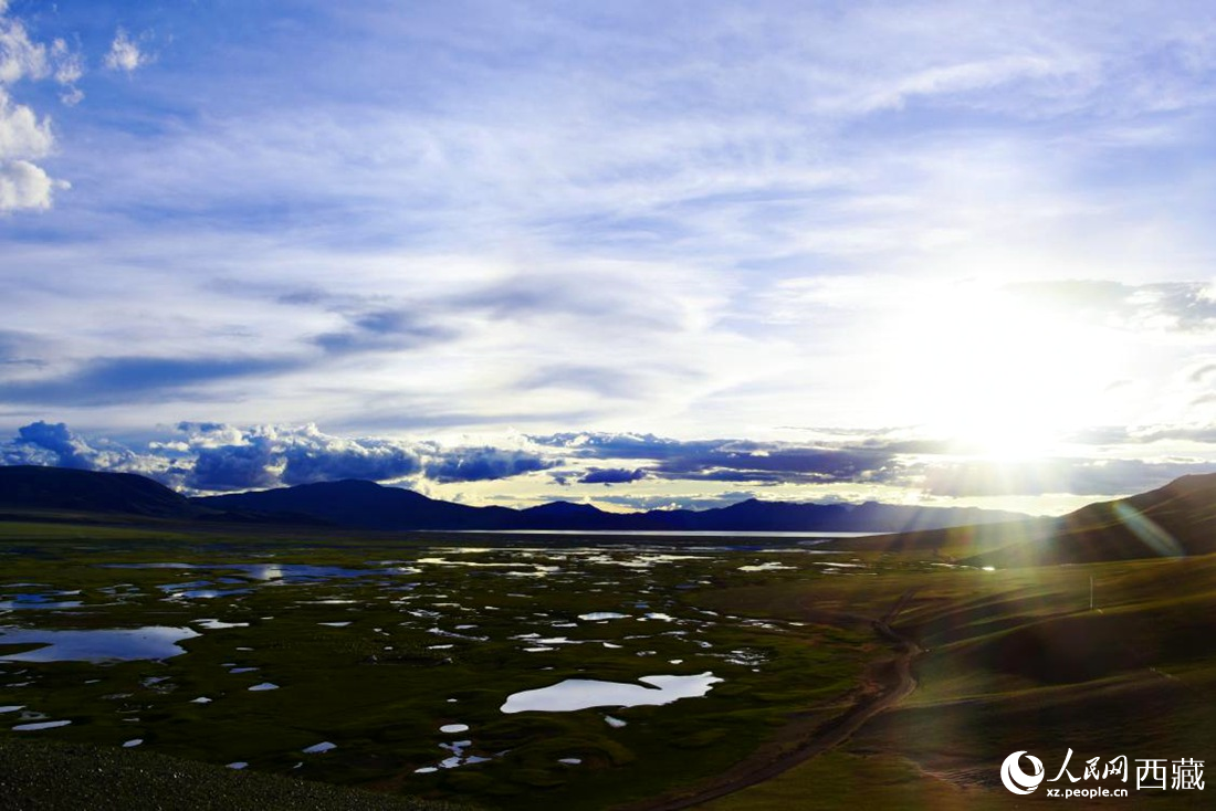 七月的羌塘草原處處是景。人民網(wǎng) 李海霞攝