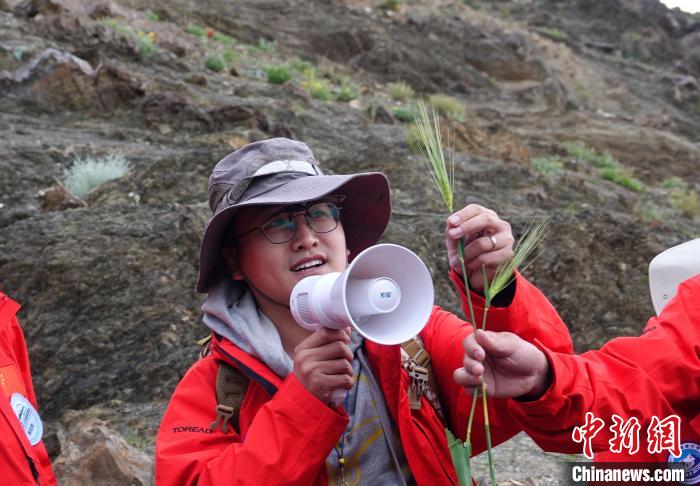 青藏科考：青稞如何走上青藏高原？