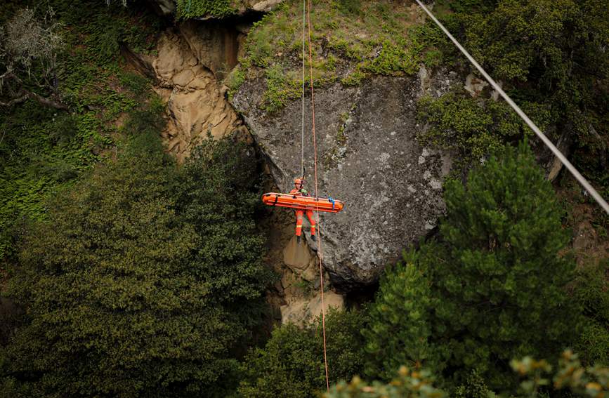 叢林中的橙色身影。西繞拉翁攝