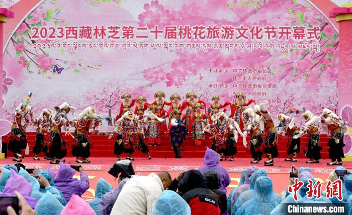 3月28日，西藏林芝第二十屆桃花旅游文化節(jié)開幕式上的文藝表演。　李林 攝