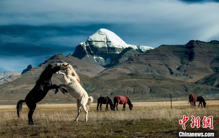 圖為參展攝影師拍攝的西藏阿里岡仁波齊?！≈鬓k方 供圖