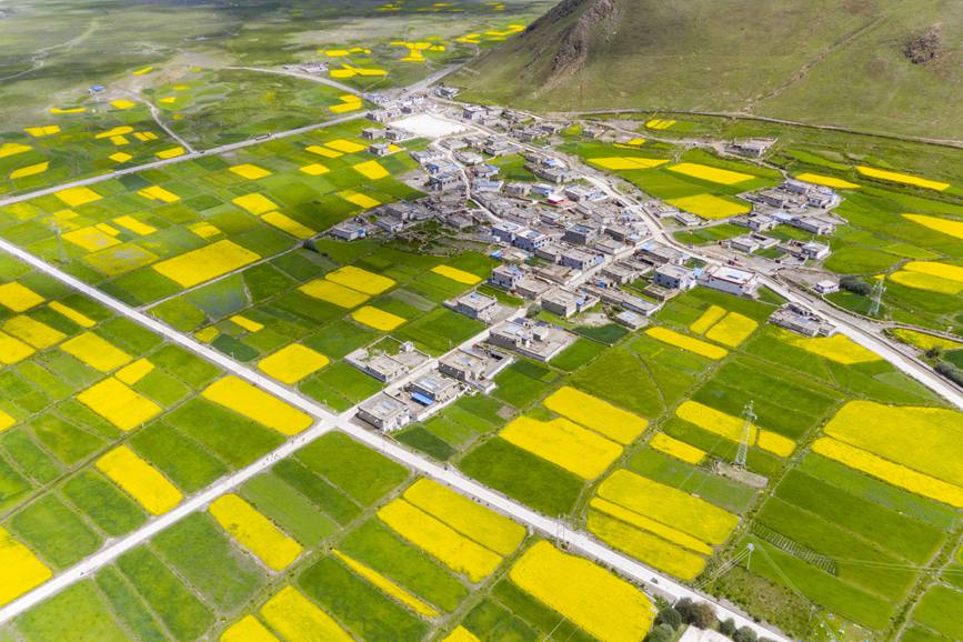 航拍道布龍村，依山傍水，阡陌縱橫。