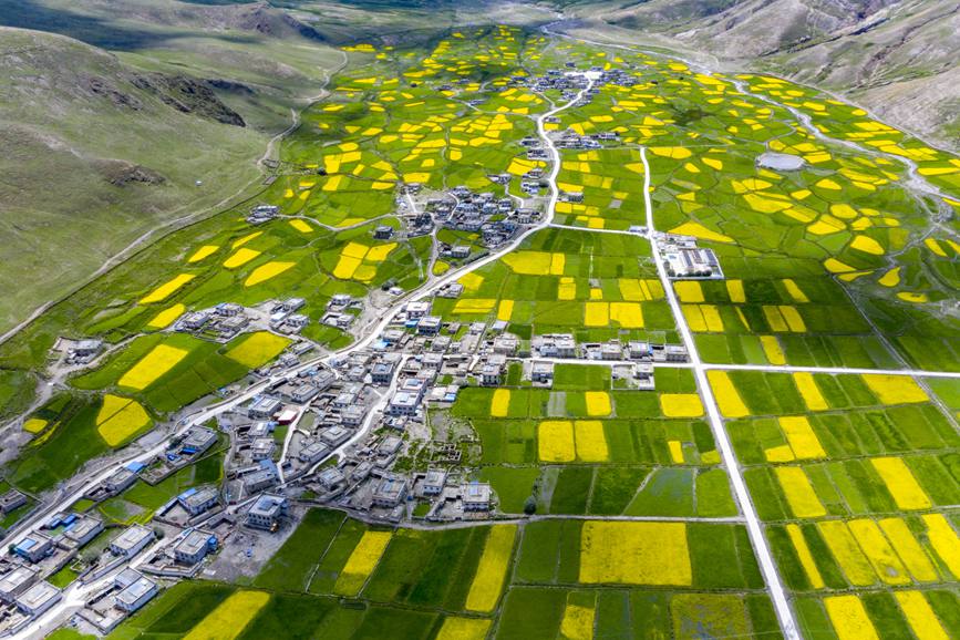 航拍道布龍村，依山傍水，阡陌縱橫。