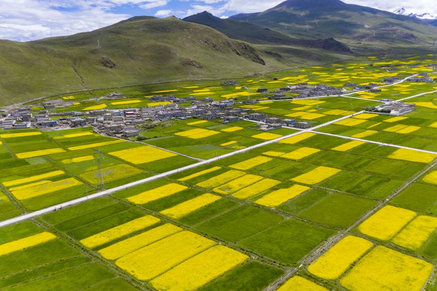 航拍道布龍村，依山傍水，阡陌縱橫。