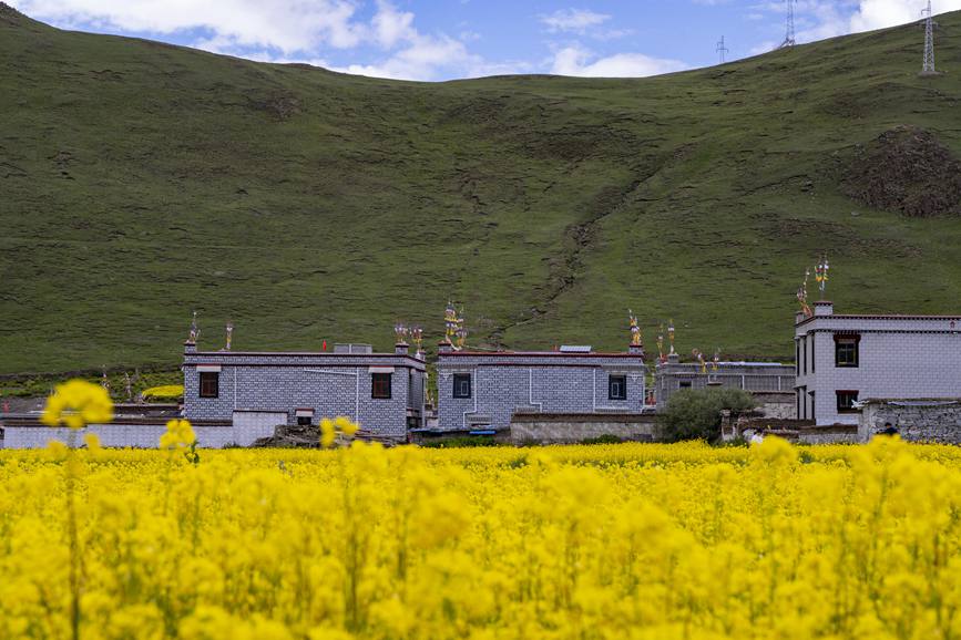 環(huán)境優(yōu)美的道布龍村一角。