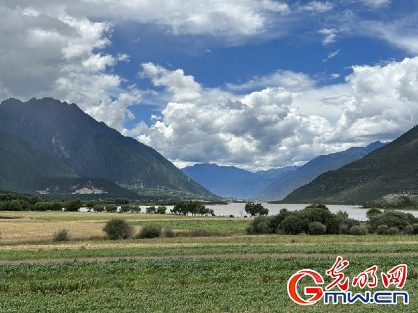 我們的家園｜林芝米林縣：河長護藥洲，碧水映花谷