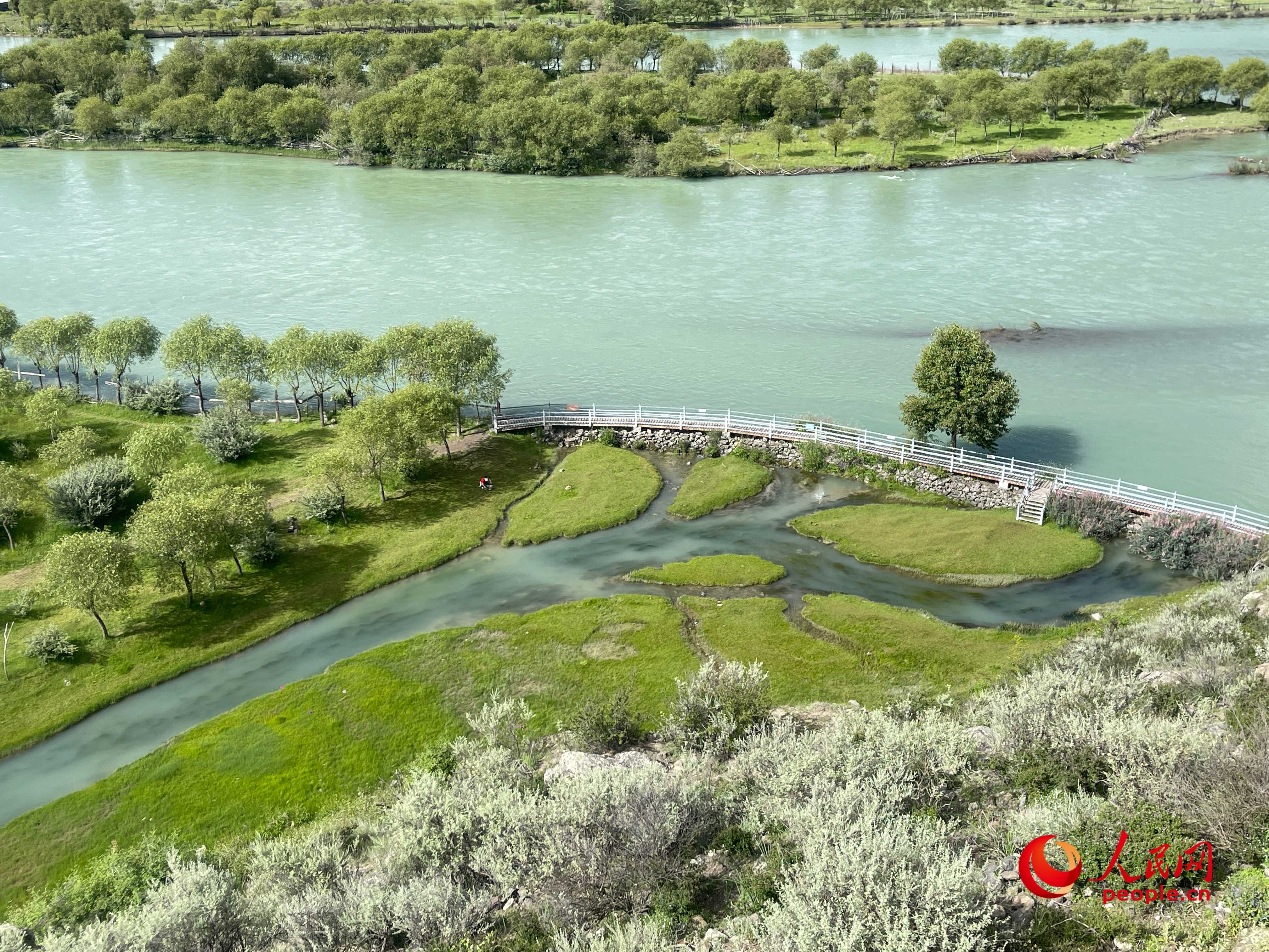 夏日的雅尼國家濕地公園生機盎然，如詩如畫。人民網 周靜圓攝