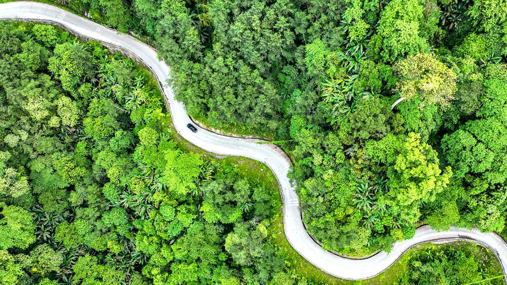 穿行于綠色間，生態(tài)優(yōu)良。張澤坤攝