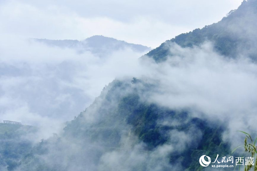 秋日里的墨脫云海。人民網(wǎng) 李海霞攝