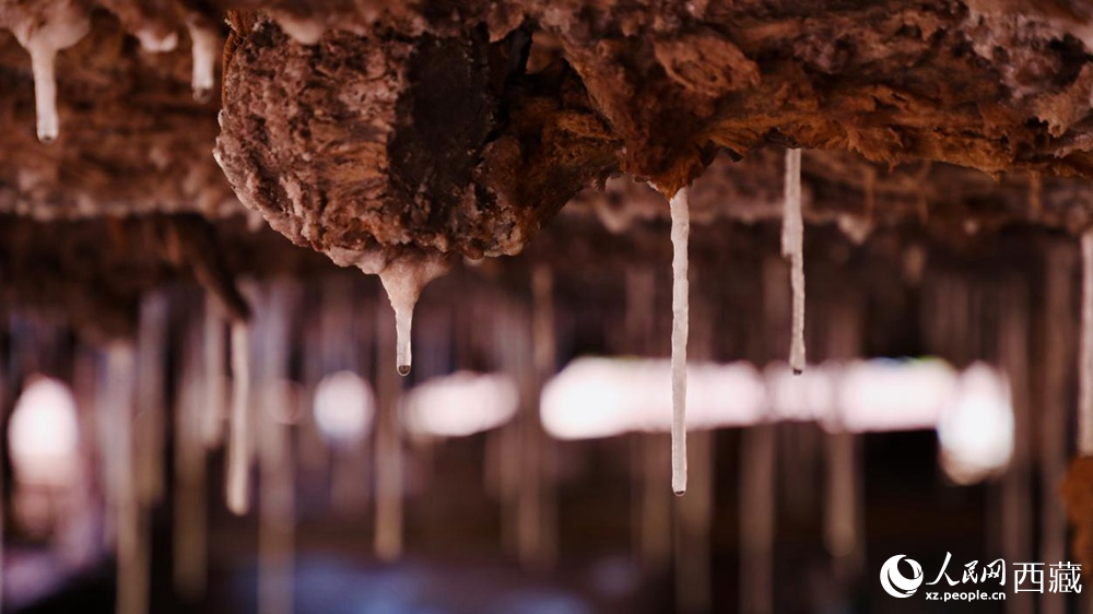 自然滲下的鹽柱結(jié)晶。人民網(wǎng)記者 次仁羅布攝