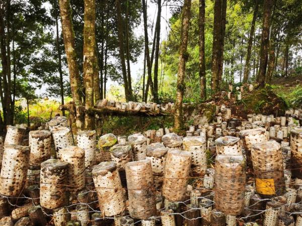 幾代建設(shè)者，歷經(jīng)半個多世紀(jì)完成！這是一條怎樣的公路？