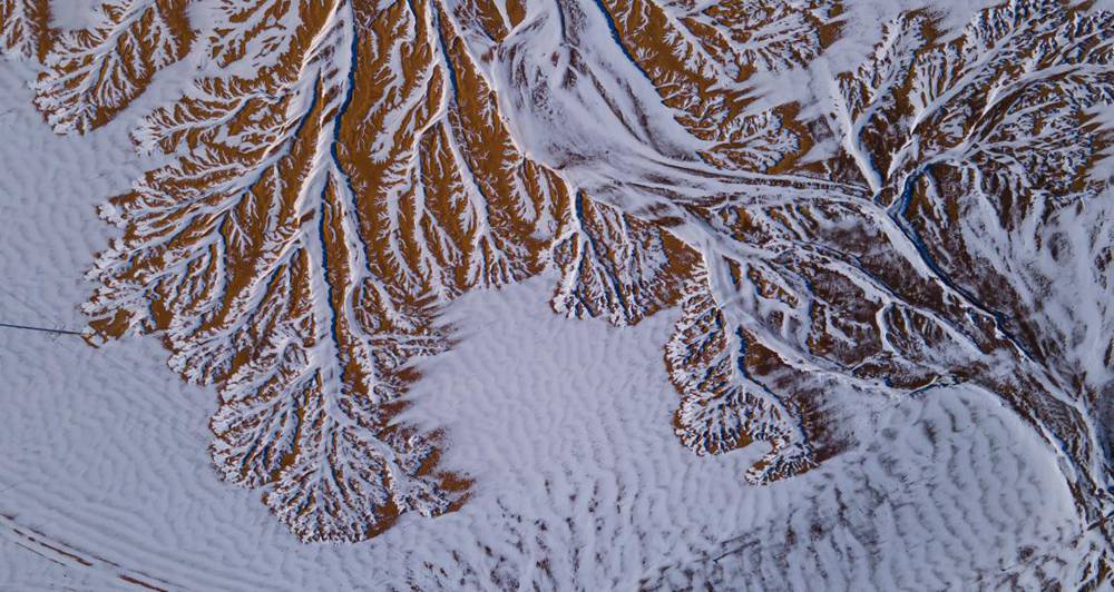 栩栩如生的枝干。邊巴多吉攝