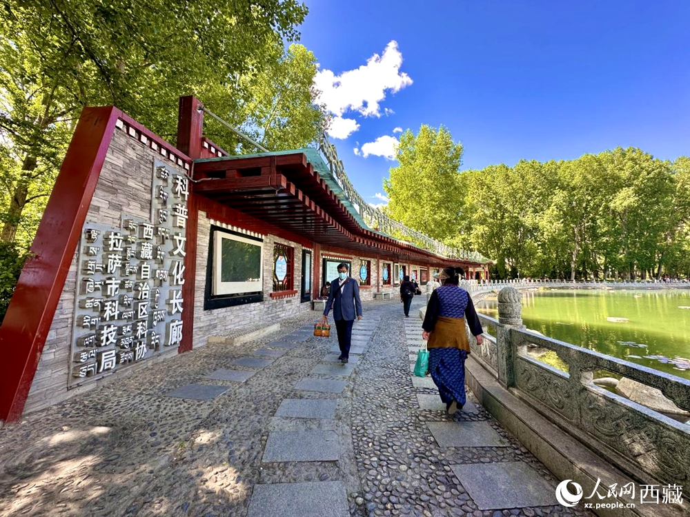 公園內(nèi)的科普文化長(zhǎng)廊。