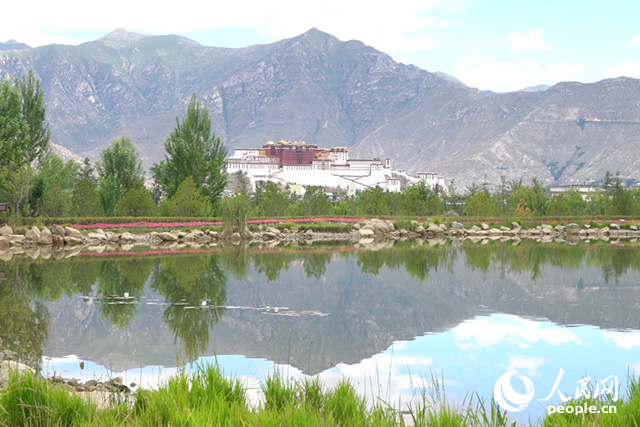 雄偉的布達拉宮與綠意蔥蘢的南山隔河相望。人民網(wǎng)記者 劉凡攝