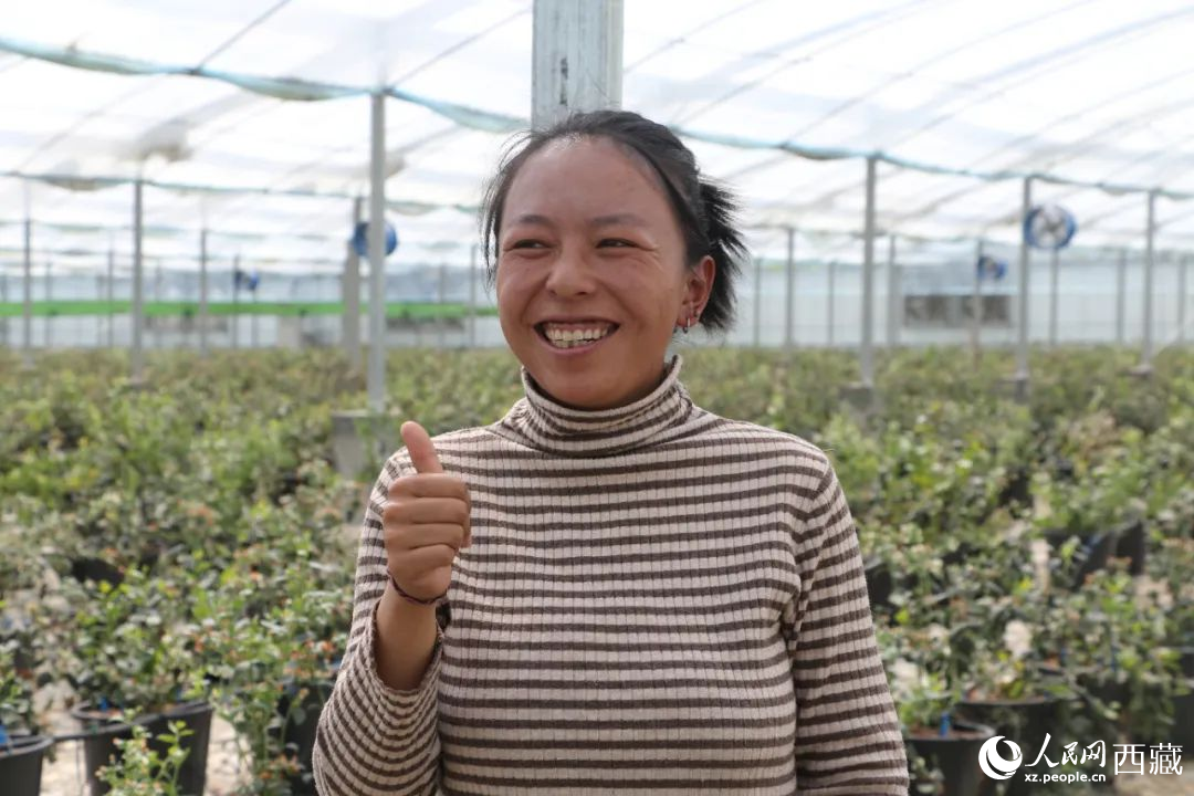 措姆品嘗自己精心照料的藍(lán)莓后，豎起了大拇指。次仁龍布攝