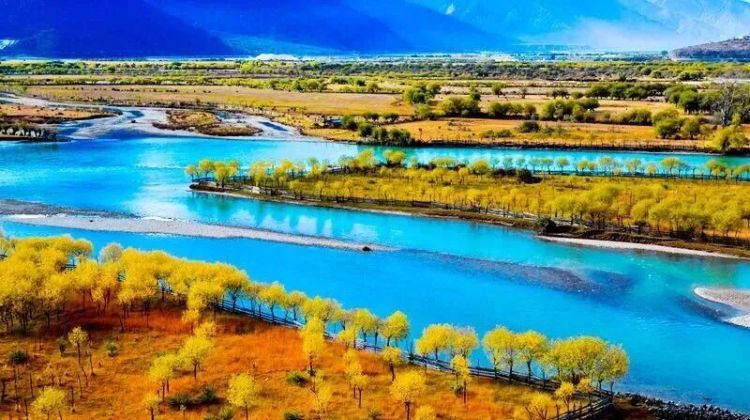 懂西藏的人，一定不會錯過林芝的秋天