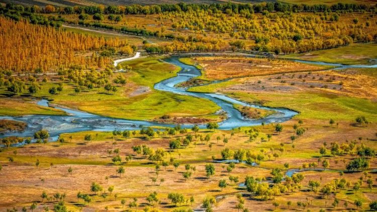 懂西藏的人，一定不會錯過林芝的秋天