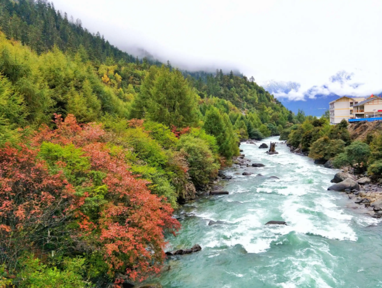 懂西藏的人，一定不會錯過林芝的秋天