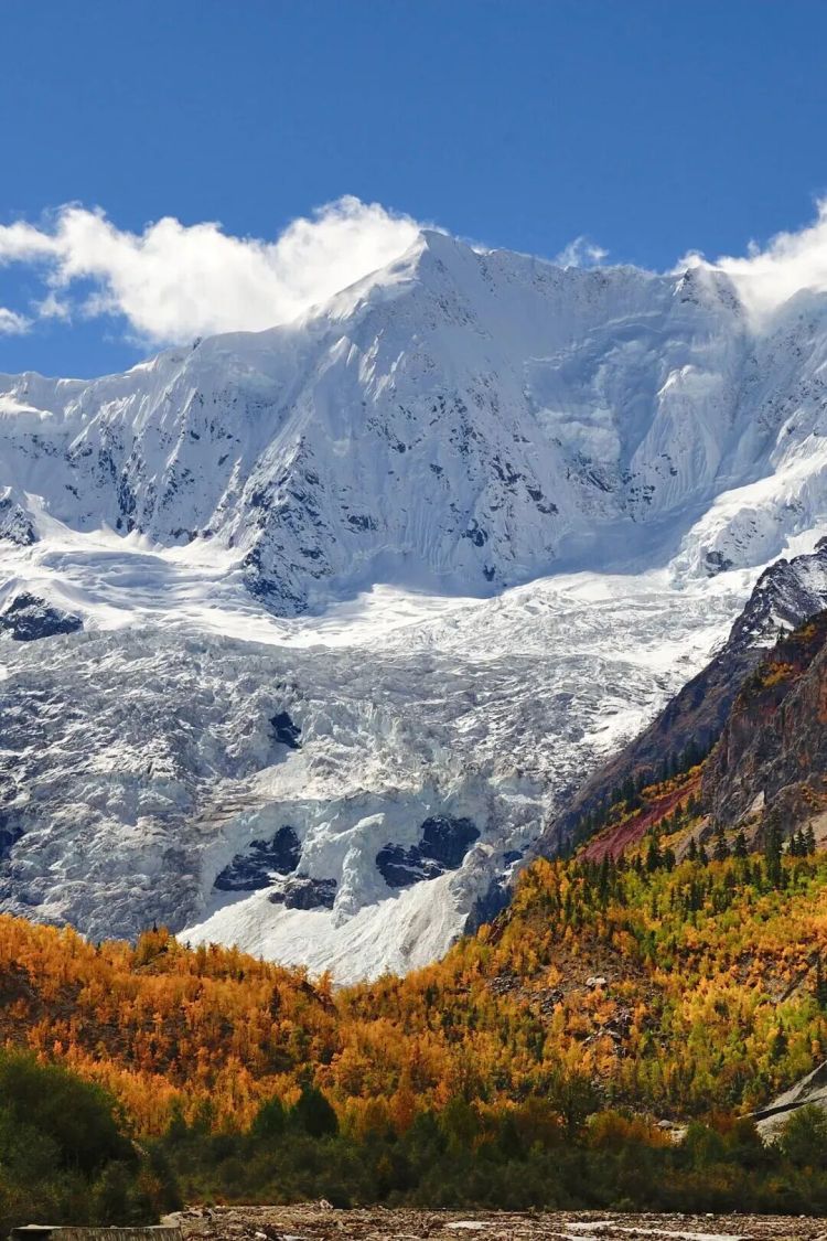 懂西藏的人，一定不會錯過林芝的秋天