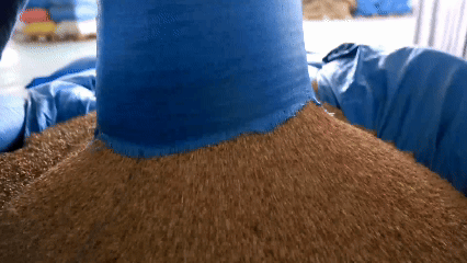 青稞“蛻變”，牦?！俺鋈Α?！看西藏農(nóng)牧民的“十四五”豐收答卷