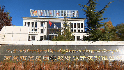 青稞“蛻變”，牦?！俺鋈Α保】次鞑剞r(nóng)牧民的“十四五”豐收答卷