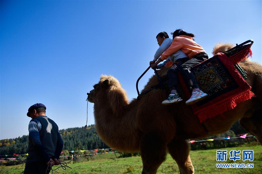 （全面建成小康社會“百城千縣萬村調(diào)研行”·圖文互動）（7）青?？柎澹骸肮夤鞔濉钡娜A麗轉(zhuǎn)身