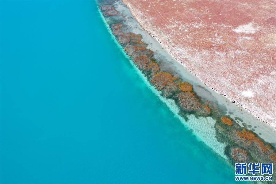 （新華視界）（7）鳥(niǎo)瞰羊湖