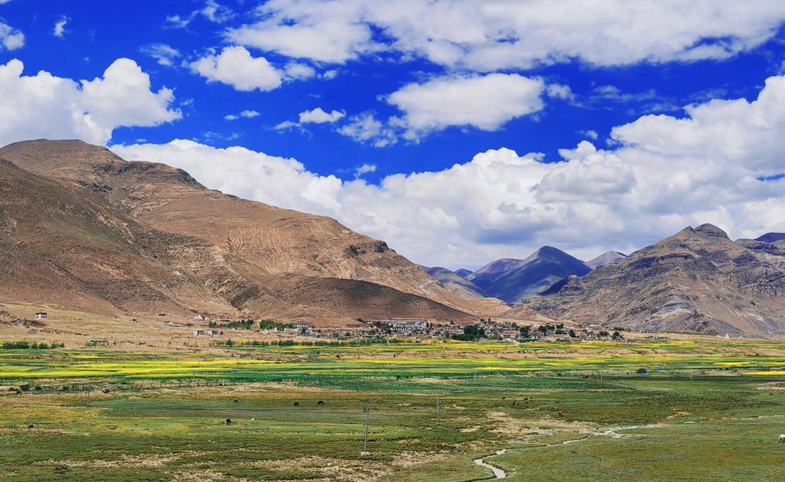 羌塘草原上的美好圖景。人民網(wǎng) 李海霞攝