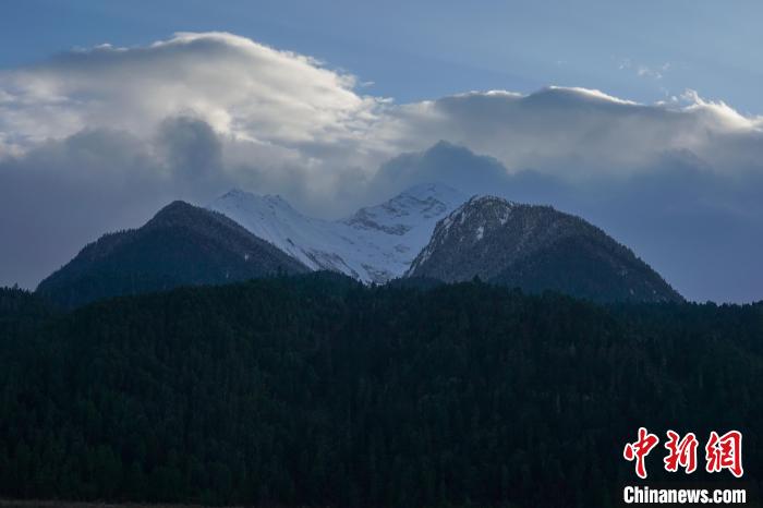 西藏波密縣的原始森林與雪山風(fēng)光?！〗w波 攝