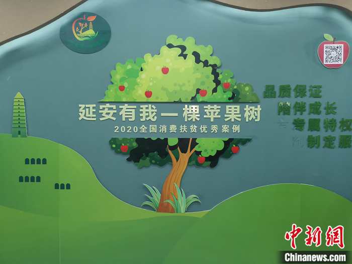 “延安有我一棵蘋果樹”。<a target='_blank'  ><p  align=