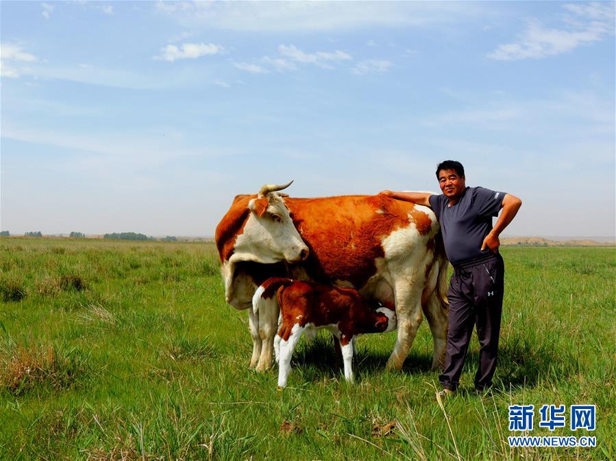 （奮斗百年路　啟航新征程·“七一勛章”獲得者·圖文互動(dòng)）（4）“草原之子”廷·巴特爾：讓草原綠起來，幫牧民富起來